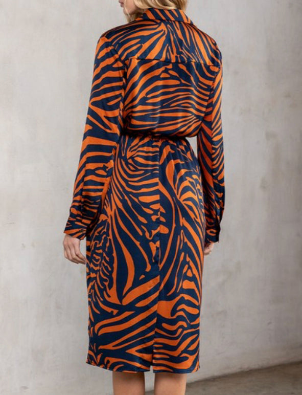 FUN ZEBRA PRINT DRESS